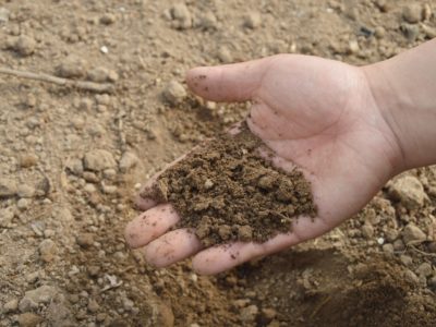 soil-hand-farm-garden-fertilizer-compost-organic