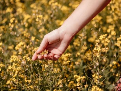 woman-holds-yellow-flower